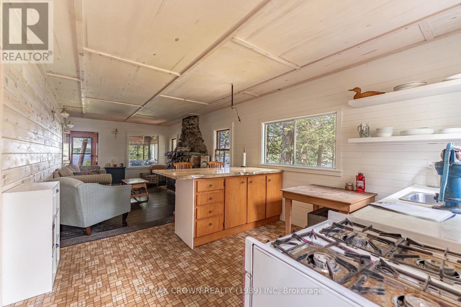 28 CASSELS LAKE C ISLAND - 32