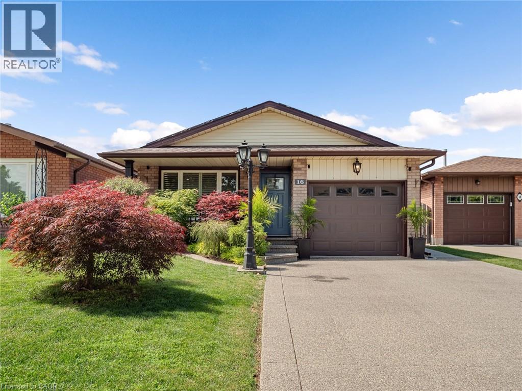 16 JUNIPER Drive - 1