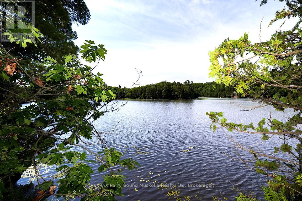 509 HORSESHOE LAKE WA (BEAR LANE) - 7
