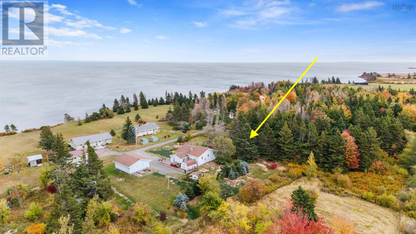 59 West Toney Drive - 1