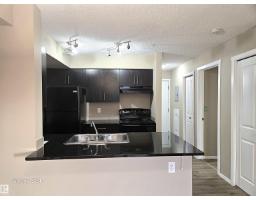 Laundry room - #210 3207 James Mowatt Tr Sw, Edmonton, AB T6W3L6 Photo 6