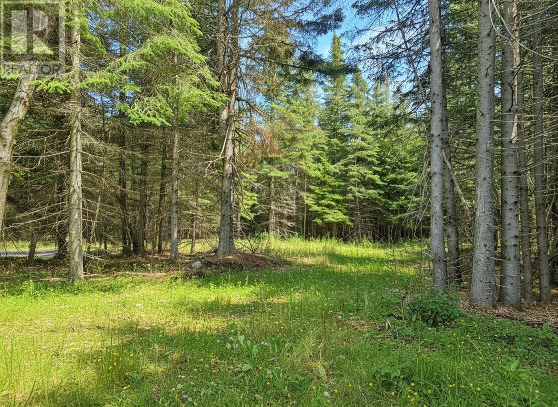 115 Golf Course Road - 46