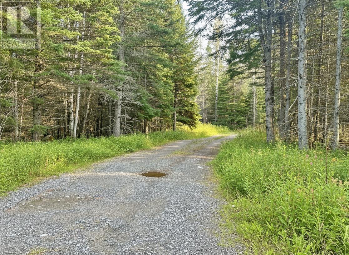 115 Golf Course Road - 48