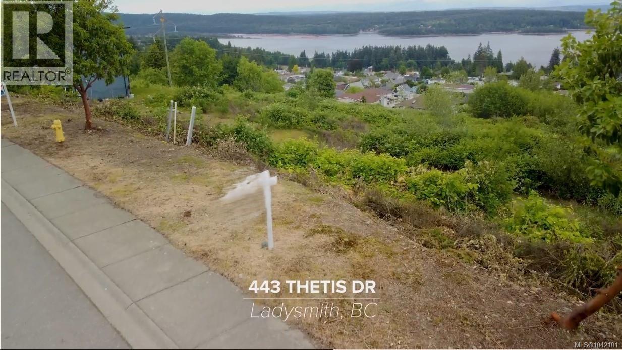 443 Thetis Dr, Ladysmith