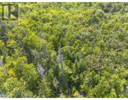 Lot 19 Pelton Mountain Road, Chipman Brook, NS B0P1J0 Photo 10