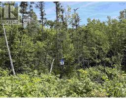Lot 19 Pelton Mountain Road, Chipman Brook, NS B0P1J0 Photo 16
