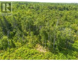 Lot 19 Pelton Mountain Road, Chipman Brook, NS B0P1J0 Photo 14