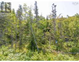 Lot 19 Pelton Mountain Road, Chipman Brook, NS B0P1J0 Photo 9