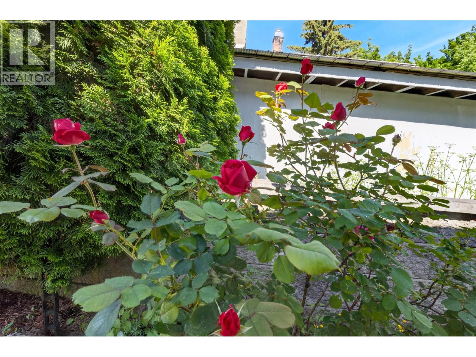 900 Sicamous Street - 53