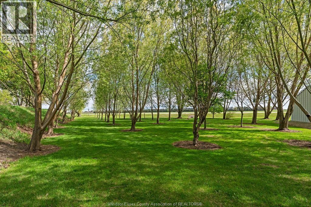 24122 POPPE ROAD - 39