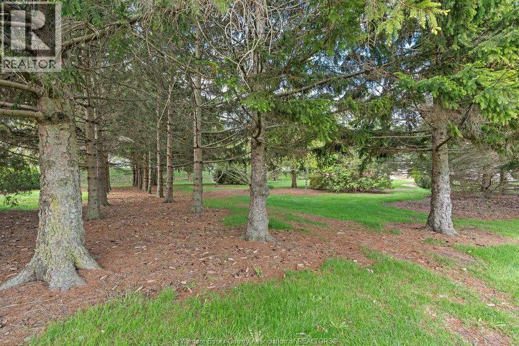 24122 POPPE ROAD - 40