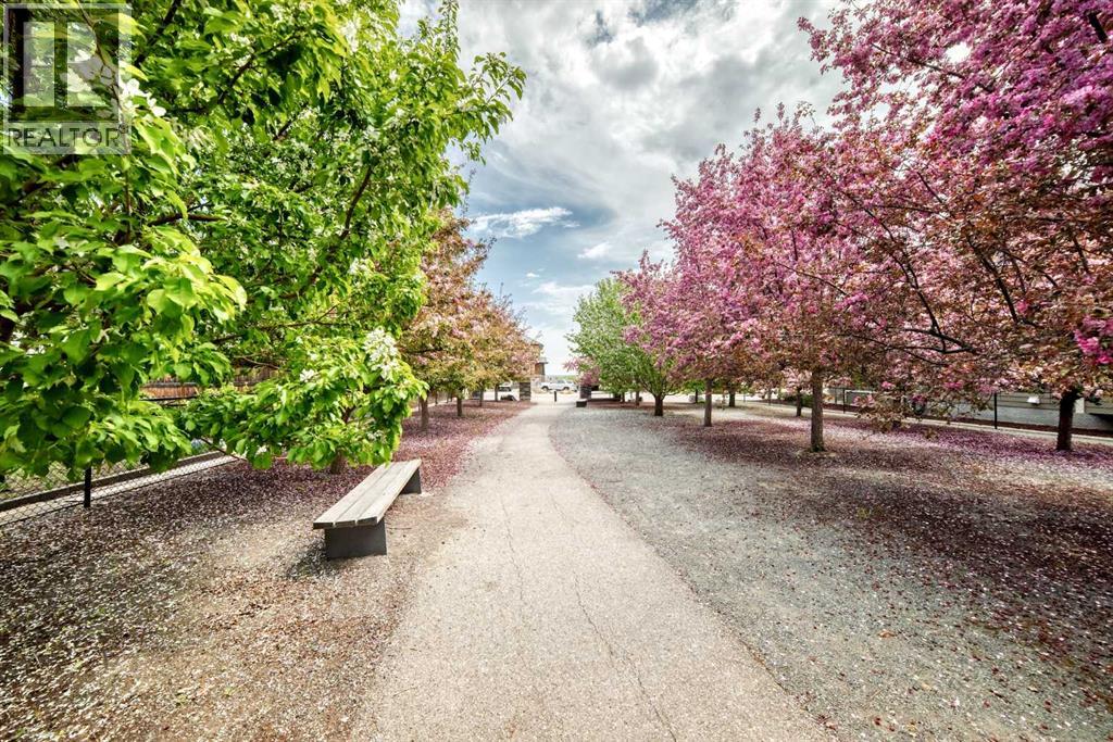 75 Silverado Bank Gardens SW - 50