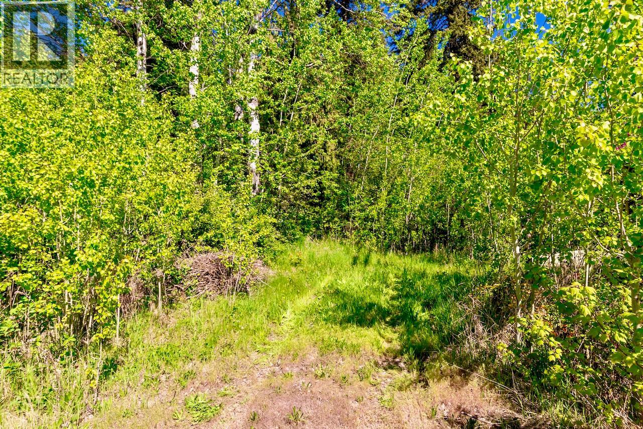 3035 Squilax-Anglemont Road - 39