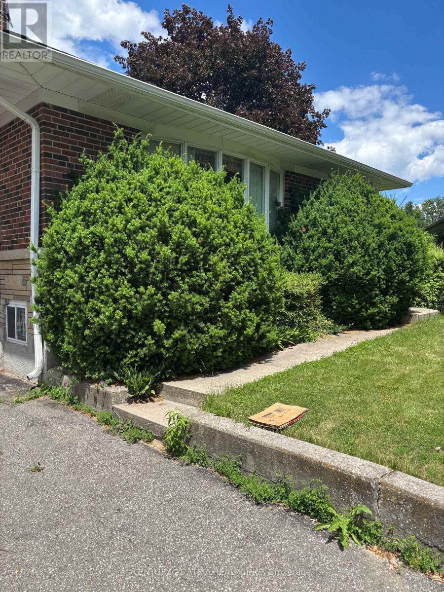 4 WINESAP PLACE - 3