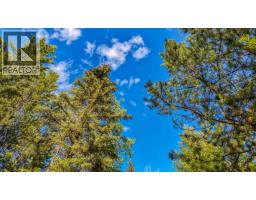 6317 Horse Lake Road, 100 Mile House, BC V0K2E3 Photo 8