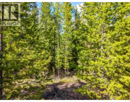 6317 Horse Lake Road, 100 Mile House, BC V0K2E3 Photo 9
