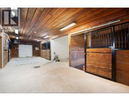6811 Concession Rd 8, Oldcastle, ON N0R1L0 Photo 37