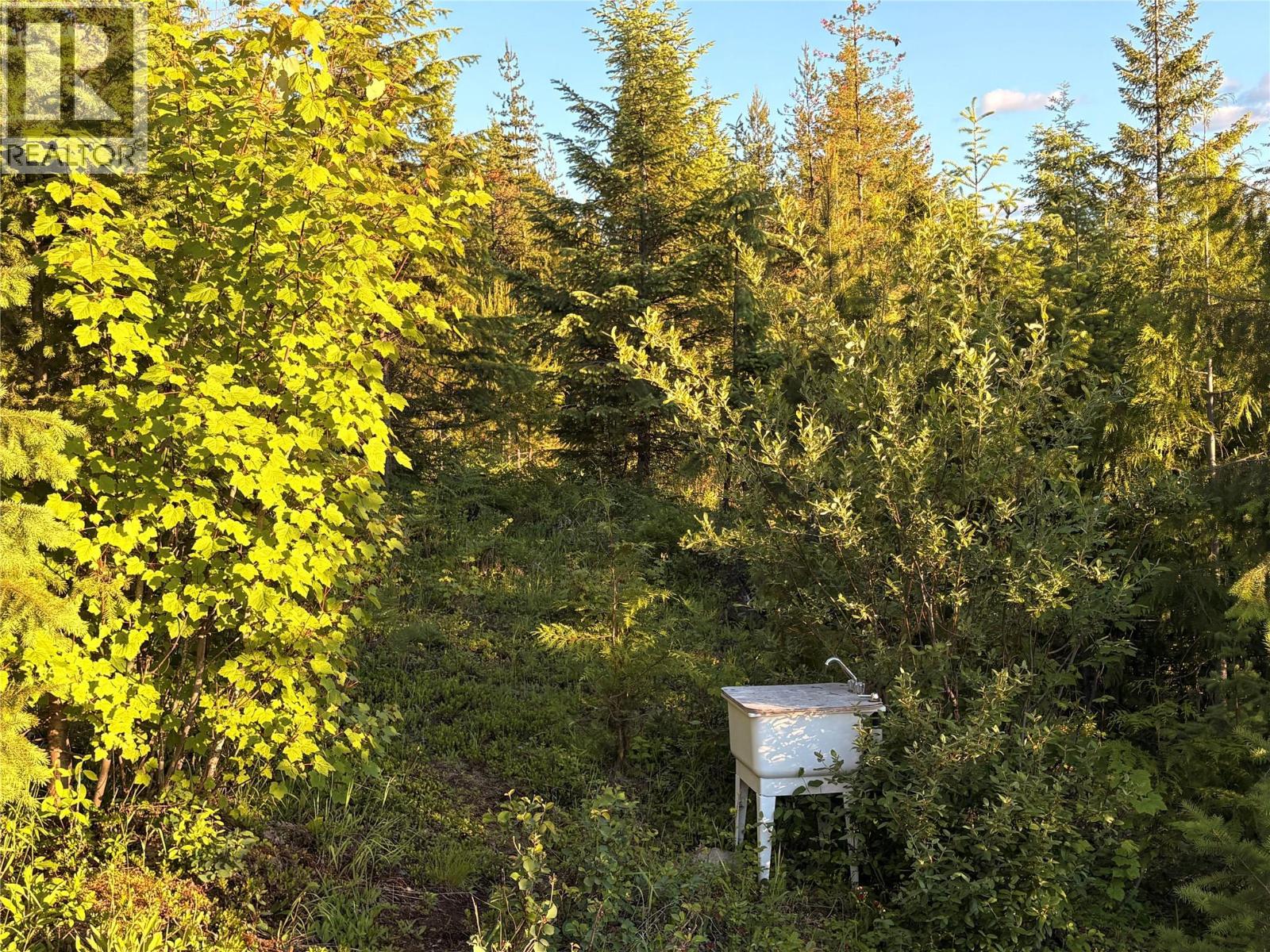 Lot 10 CROWN CREEK FOREST Road - 41