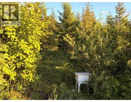 Lot 10 Crown Creek Forest Road, Gray Creek, BC V0B1S0 Photo 41