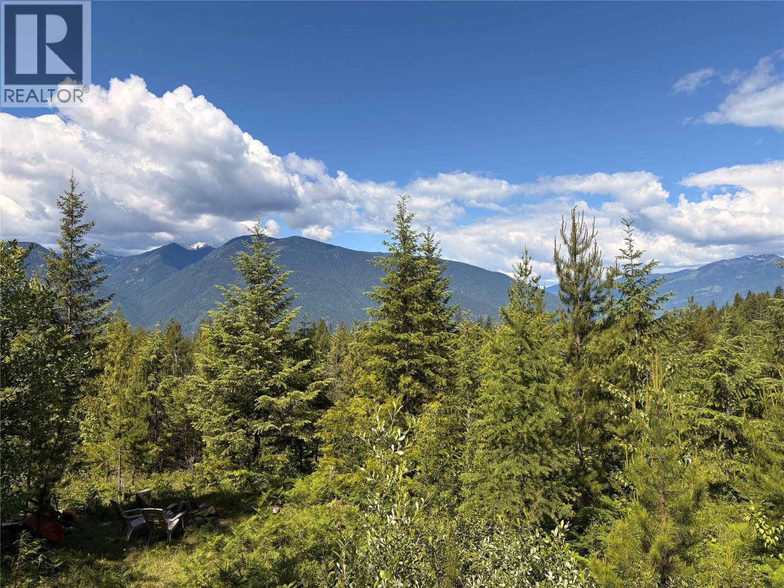 Lot 10 CROWN CREEK FOREST Road - 79