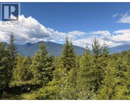 Lot 10 Crown Creek Forest Road, Gray Creek, BC V0B1S0 Photo 79