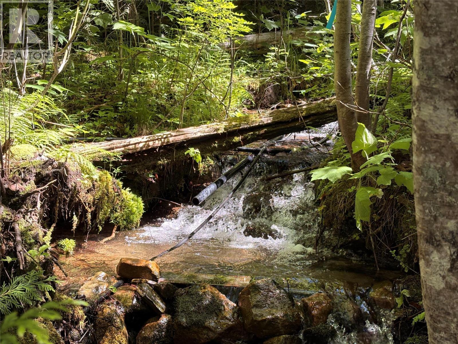 Lot 10 CROWN CREEK FOREST Road - 76