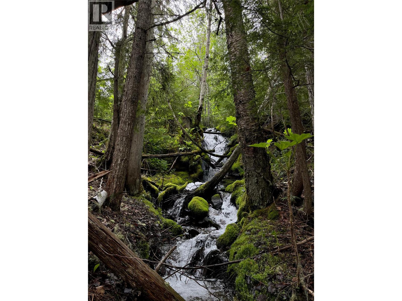 Lot 10 CROWN CREEK FOREST Road - 74