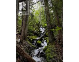 Lot 10 Crown Creek Forest Road, Gray Creek, BC V0B1S0 Photo 74