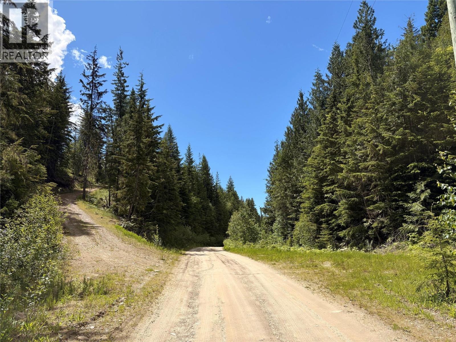 Lot 10 CROWN CREEK FOREST Road - 82
