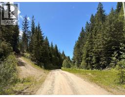 Lot 10 Crown Creek Forest Road, Gray Creek, BC V0B1S0 Photo 82