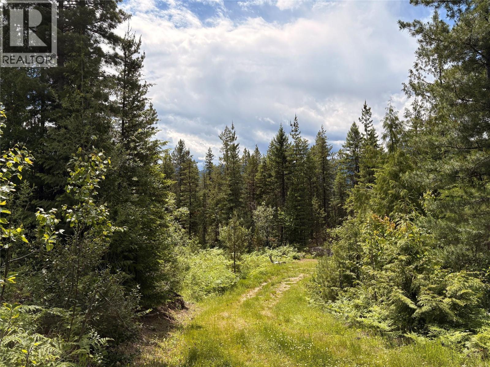 Lot 10 CROWN CREEK FOREST Road - 86