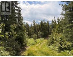 Lot 10 Crown Creek Forest Road, Gray Creek, BC V0B1S0 Photo 86