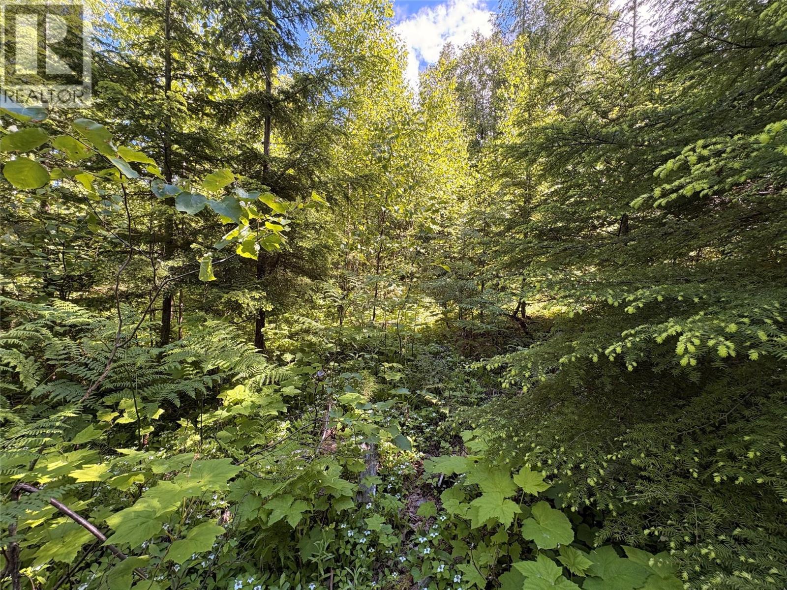 Lot 10 CROWN CREEK FOREST Road - 78