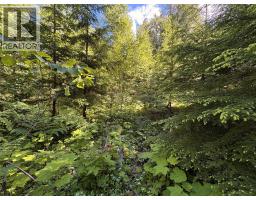 Lot 10 Crown Creek Forest Road, Gray Creek, BC V0B1S0 Photo 78