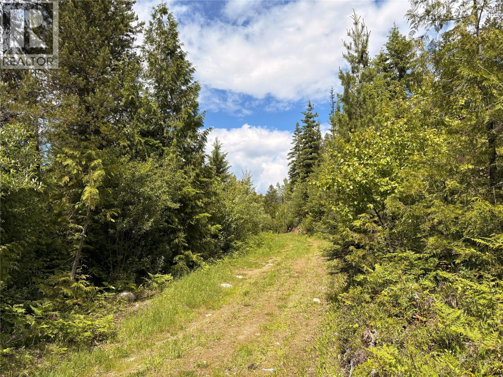 Lot 10 CROWN CREEK FOREST Road - 85