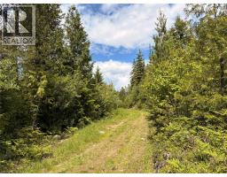 Lot 10 Crown Creek Forest Road, Gray Creek, BC V0B1S0 Photo 85