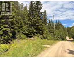 Lot 10 Crown Creek Forest Road, Gray Creek, BC V0B1S0 Photo 84