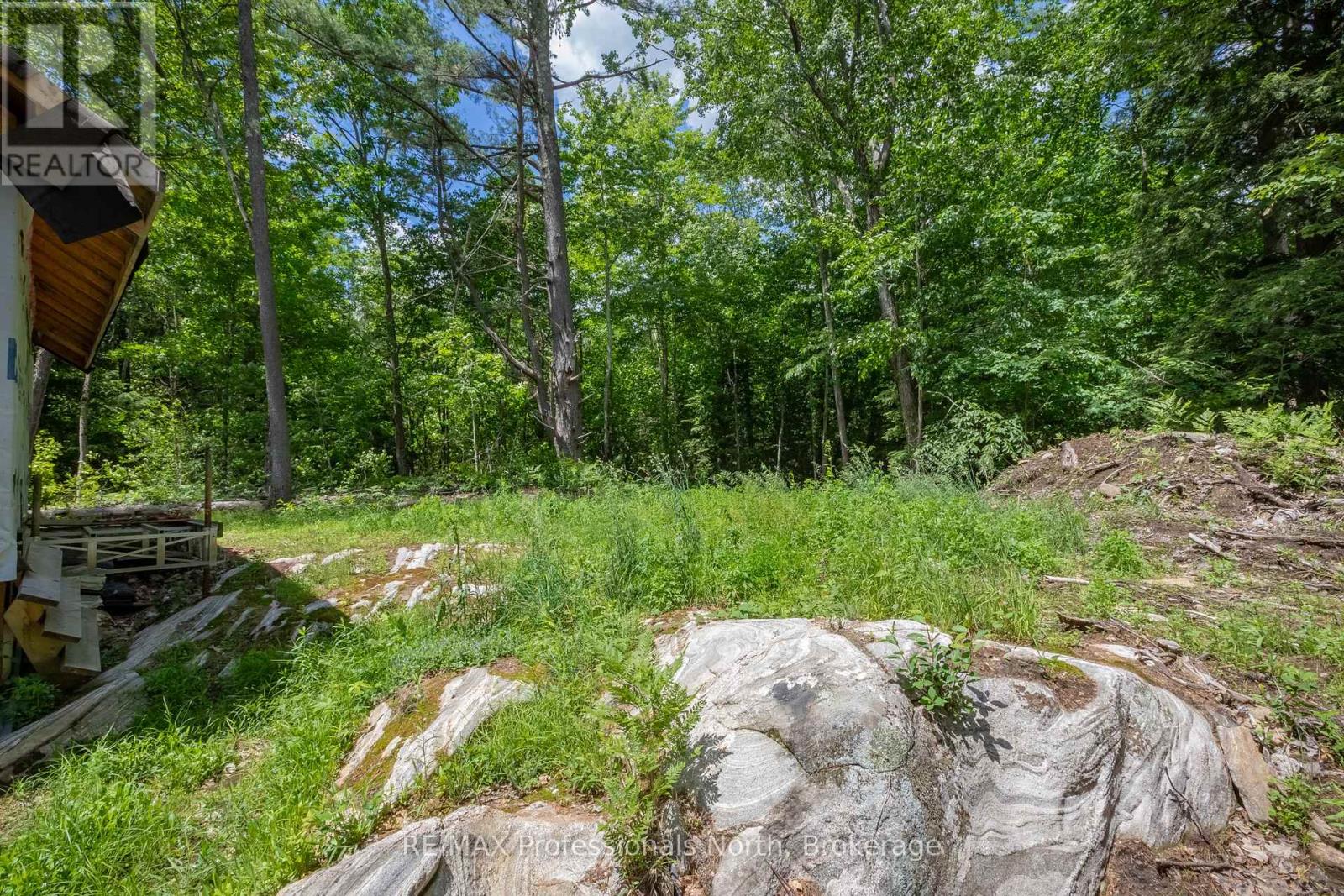 1219 MEDORA LAKE ROAD - 18