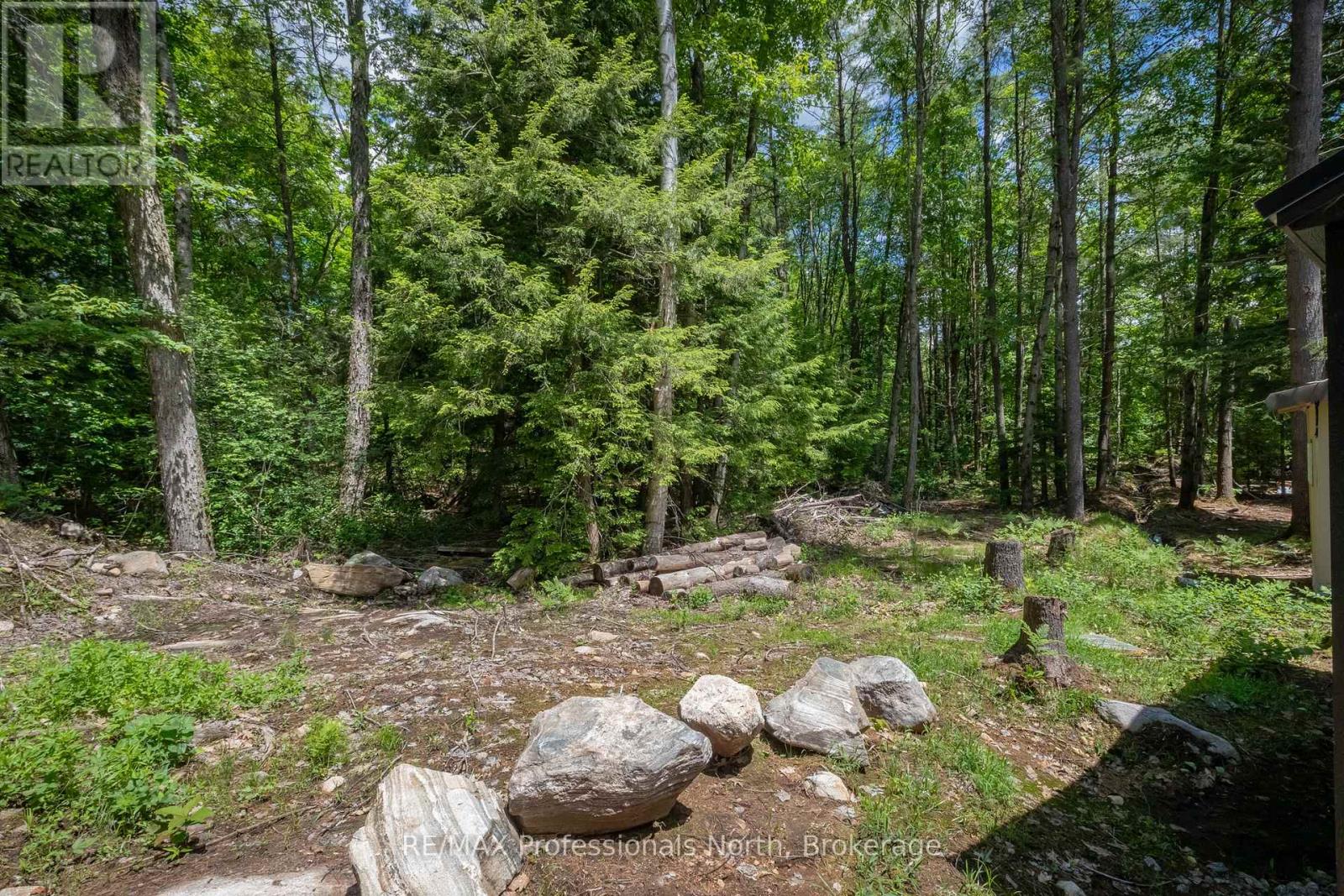 1219 MEDORA LAKE ROAD - 19