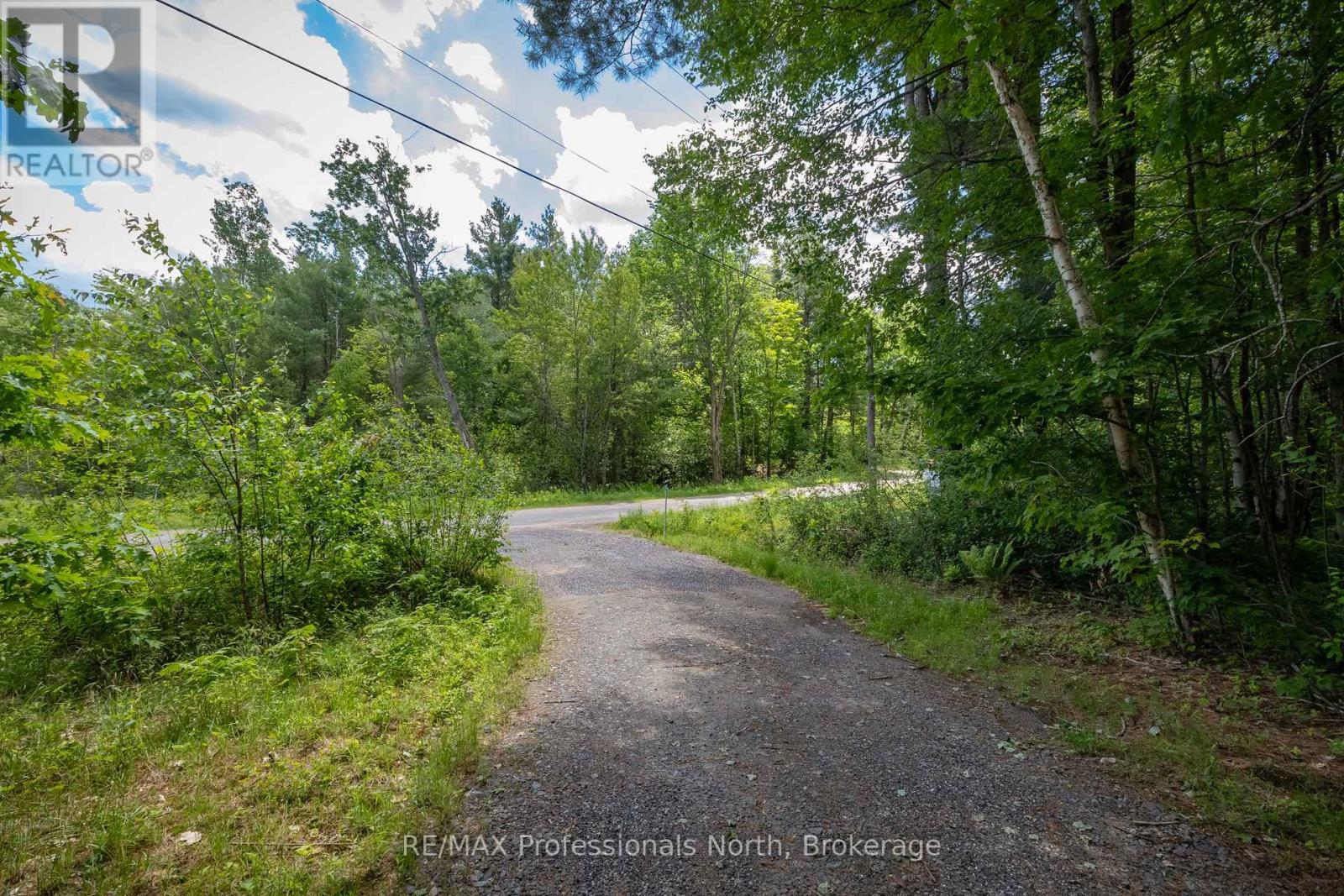 1219 MEDORA LAKE ROAD - 3