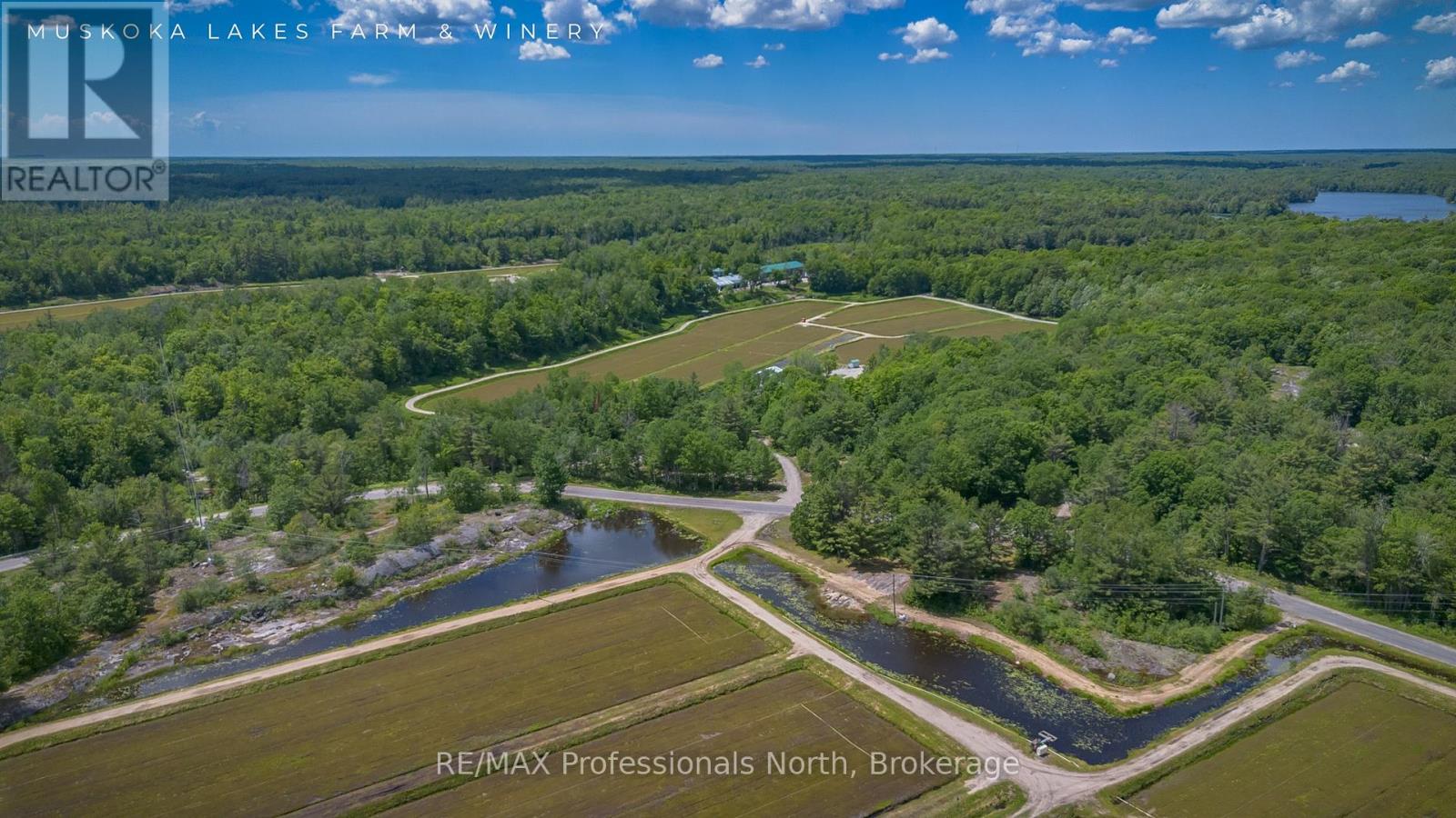 1219 MEDORA LAKE ROAD - 38