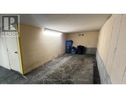 G - 37 Robinson Avenue, Ottawa, ON K1N8N8 Photo 12