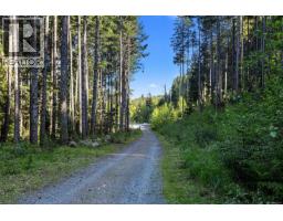 Lot 1 Trail Way, Malahat, BC V8H2J1 Photo 7