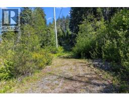 Lot 1 Trail Way, Malahat, BC V8H2J1 Photo 12
