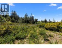 Lot 1 Trail Way, Malahat, BC V8H2J1 Photo 17