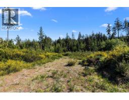 Lot 1 Trail Way, Malahat, BC V8H2J1 Photo 18