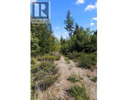 Lot 1 Trail Way, Malahat, BC V8H2J1 Photo 19