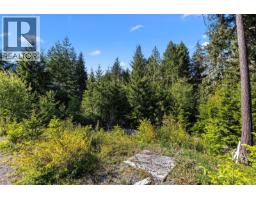 Lot 1 Trail Way, Malahat, BC V8H2J1 Photo 21