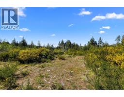 Lot 1 Trail Way, Malahat, BC V8H2J1 Photo 16