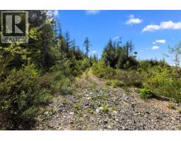 Lot 1 Trail Way, Malahat, BC V8H2J1 Photo 14